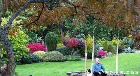 年来|英国老人退休后,把一生所爱献给这片荒地,25年来从不停歇