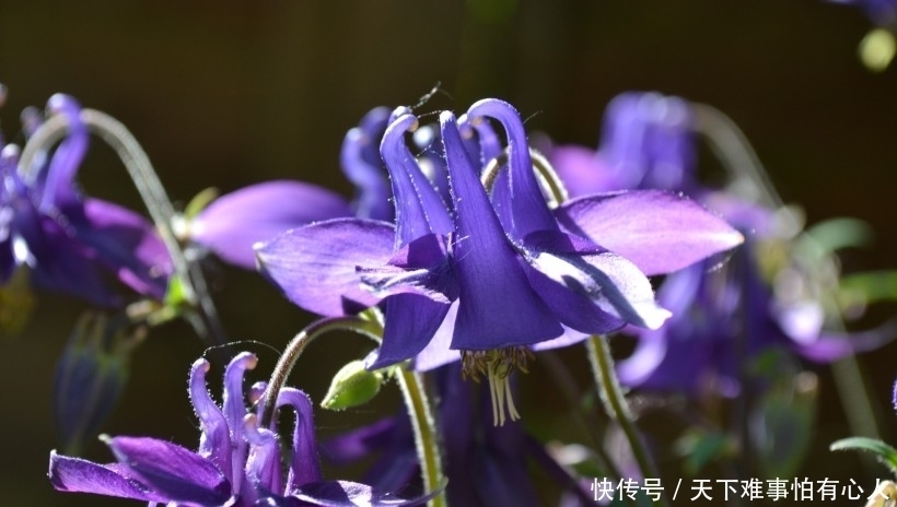  好运|下周起，好运到，走十年难遇财运，人生实现逆转的4大生肖