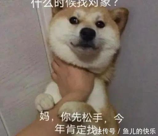 土豆泥|表情包:考你一道题,土豆变成土豆泥,我能变成什么泥