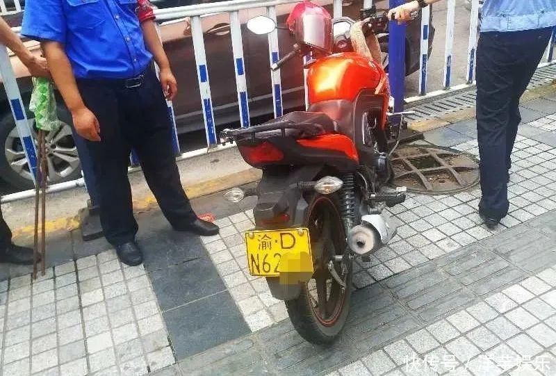 违法行为|莫任性！万州严查这些违法行为！