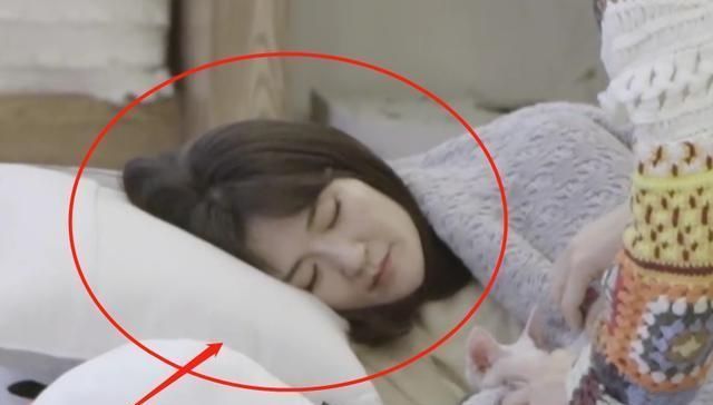 何炅|谢娜周震南累到睡着,何炅随后的举动,暴露了个人修养