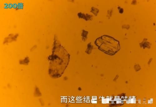 老干妈里面|小伙将老干妈放大400倍!密密麻麻都是这东西,网友:再也不吃了!