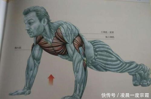 些人喜欢|男孩子每天做俯卧撑会变成什么样说了你可能不信