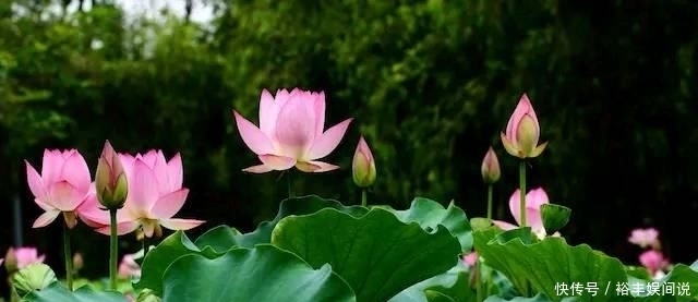 有钱|不花心的3生肖男,一辈子只爱老婆,有钱用来养家从不变坏