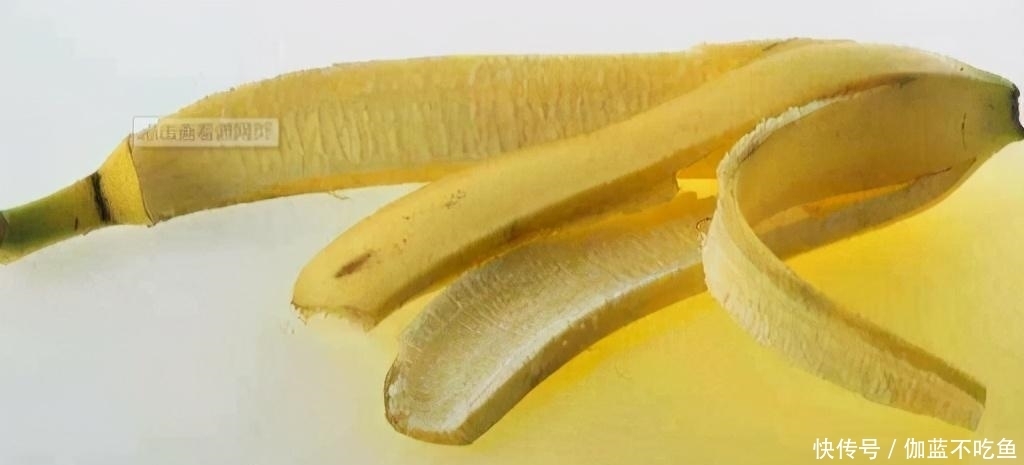 孤陋寡闻|印度人称为“美食”,中国丢进垃圾桶,网友:是我们孤陋寡闻