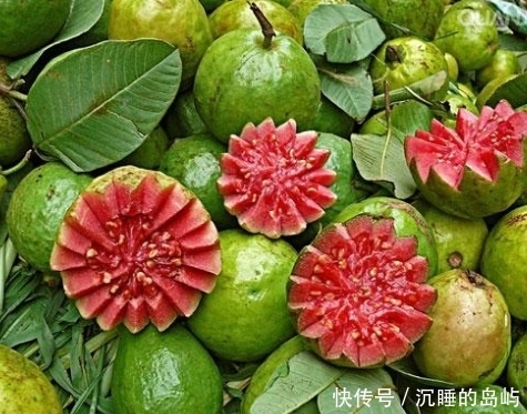 番石榴|南方常见的“红心”水果，可治疗糖尿病、保护肝脏，还能促进排毒