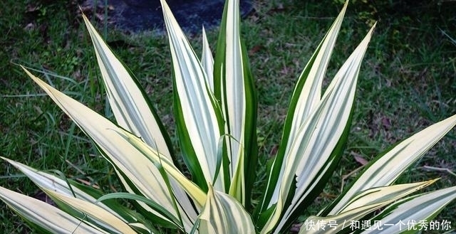 尊严|深情的人,一旦不爱了,就会变“狠”