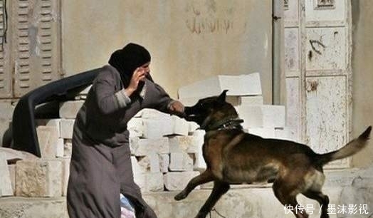  医药费|女子前后被狗咬伤两次，600元医药费对方不愿意赔：狗咬的关我什么事？