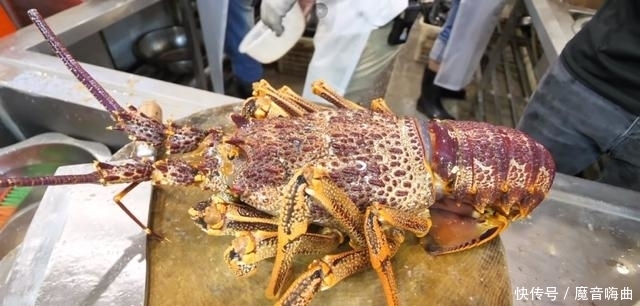 便宜|中国游客在澳洲吃龙虾,给了600块刚想离开,却被澳洲老板喊住