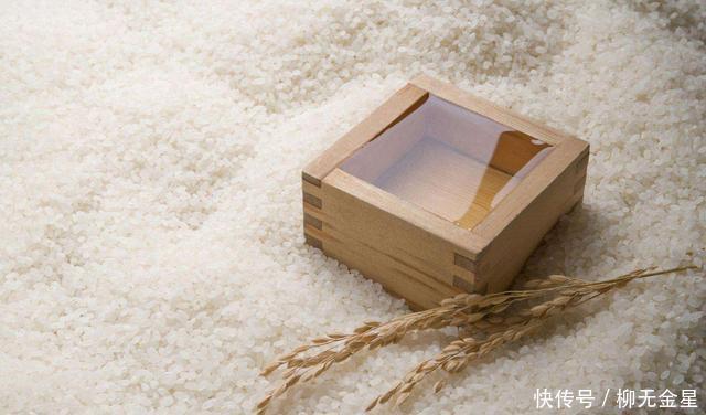 羊肉|厨房里的智慧,让饭菜更好吃