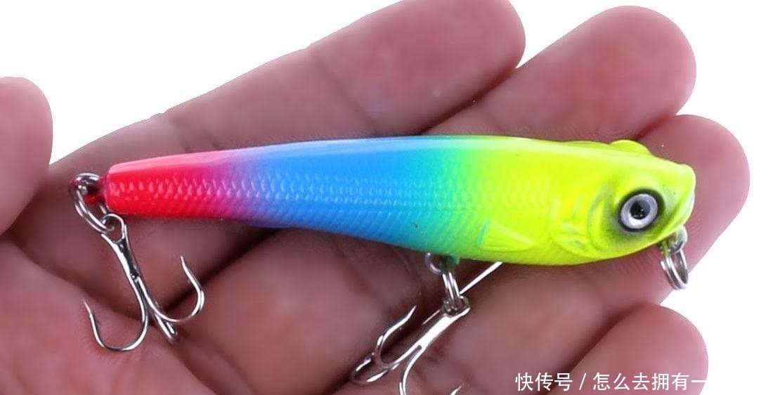 快艇|开快艇钓鱼，逃跑后被抓，又被罚款3千，了解过程后拍手叫好