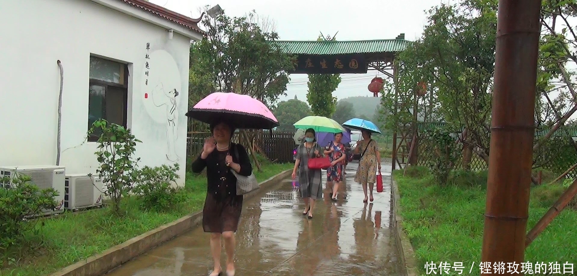 八中|马鞍山八中74届高中女生模特团:南京江宁竹庄生态园雨中走秀(音乐相册)