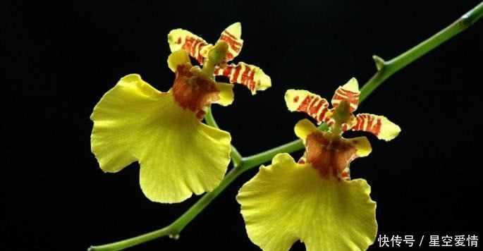 财神|8月开始财神请进门,赚得到钱,子孙满堂的四大生肖