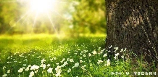  家里|家里有这三个证的，恭喜了！