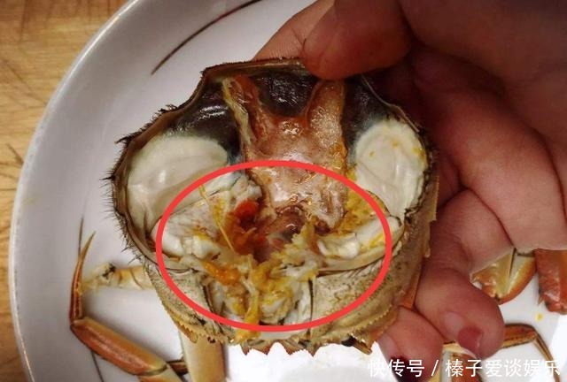 知识点|知识点!螃蟹有5个地方不能吃,很多人不懂,吃了就会闹肚子