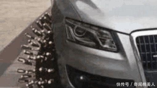 停车|女子路边随意停车, 上车后感觉不对劲, 接下来的一幕令人尴尬了