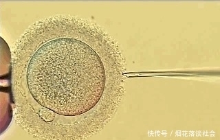  结局|全球唯一通过克隆实现复活的灭绝生物，最后结局怎么样了