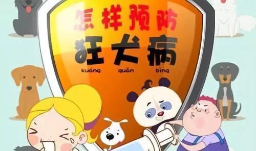 告诉|别再大意了!9岁孩童被狗抓伤因怕父母责骂,造成狂犬病发作死亡