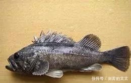 认出|海鲜大全, 你能认出多少