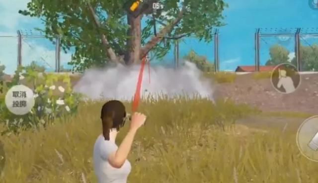 决赛圈|“吃鸡”决赛圈必备装备,吉利服仅排第4,最后两种可以完全隐藏位置