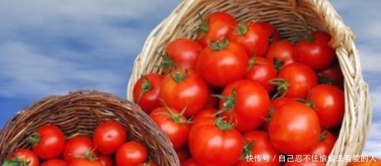 红红火火|红红火火酸酸甜甜的西红柿，种植技巧，就这些