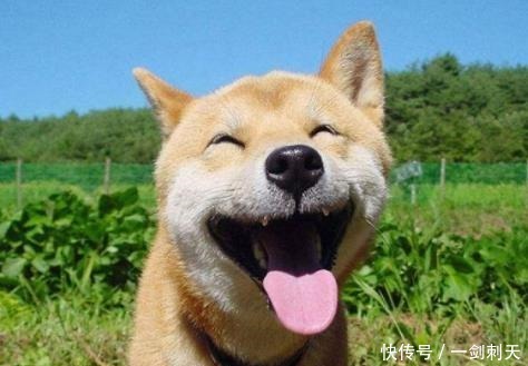 全班同学|班主任让我回家叫我爸来，然后当着全班同学的面，把我俩一起踹！