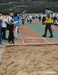 搞笑|搞笑GIF:喵星人:主人,你是不是傻?再挖我就被埋了