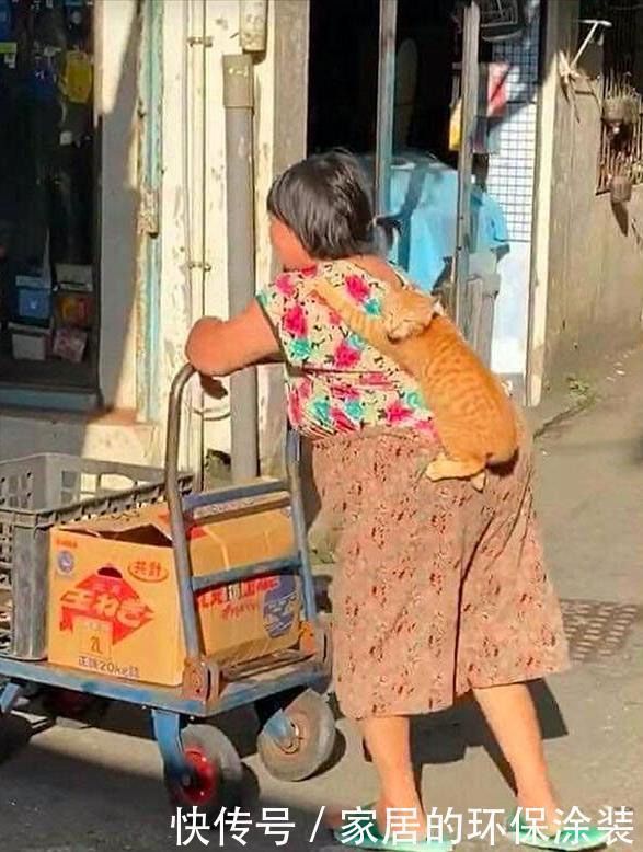 推车|远看老奶奶在推车,背上还趴着啥,凑近后:原来是只小可爱呀