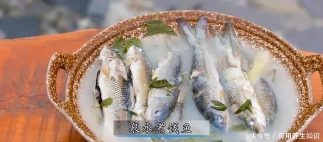 诱惑|挡不住的美食诱惑,到镇坪来一场美食之旅吧!