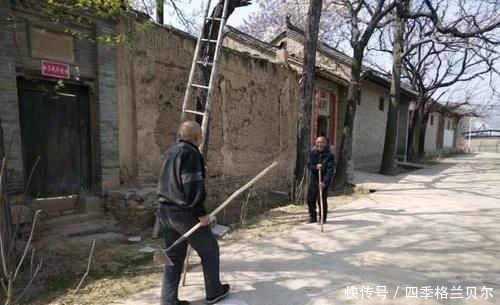 爬高|晋南农村79岁老两口,爬高上低开荒种菜,吃不完送乡亲