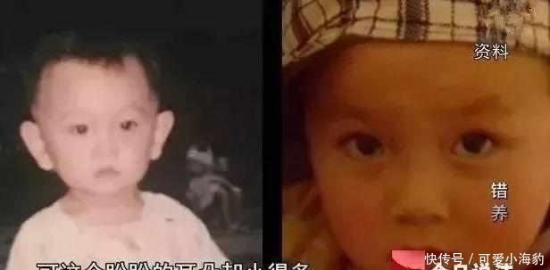 家庭|保姆偷男婴27年,养废后归还:原生家庭里,藏着孩子未来的模样