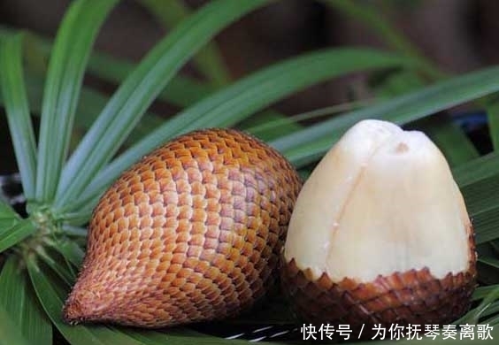 觉着|这些长相奇葩的水果,吃着都觉着恶心!