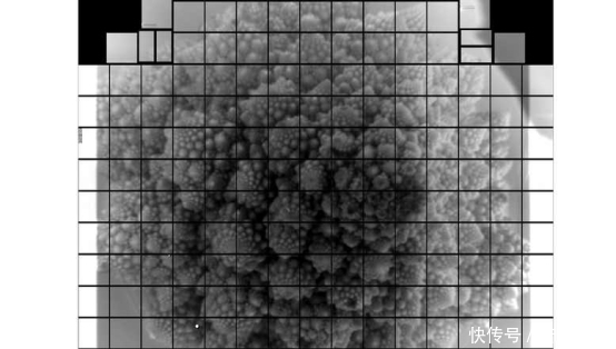 海洋|32亿像素照片出炉；“三体”星系被发现；牛仔裤污染地球