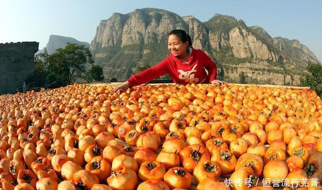 柿子|柿子变柿饼的方法大家要赶紧学起来
