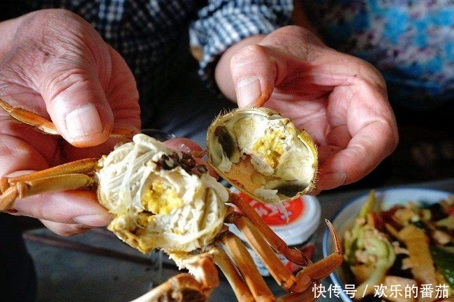 知识|九月吃螃蟹,这有关于螃蟹的所有知识,吃的满足放心