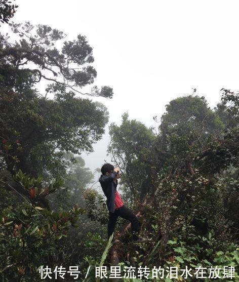 哪种|水果界的“李佳琦”,吃遍3000多种水果,哪种最好吃