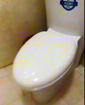  感觉|搞笑GIF：很多人说喝酒的女生都有故事，但我感觉是生活的无奈