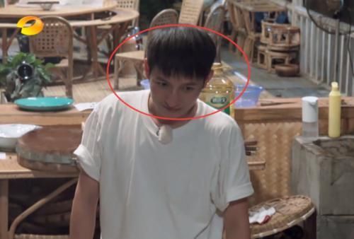 下午|《向往》烤一下午“叫花鸡”烧焦黄磊当场生气开骂,谁注意维嘉的表情