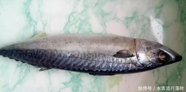 喜欢|教你在家做红烧鲅鱼,简单易上手,好吃入味,全家人都喜欢