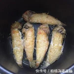 方头鱼|女性必吃的一种海鱼