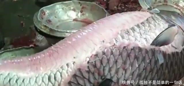 动刀|看看印度人怎么吃鱼20斤的草鱼,动刀第一步就让人大开眼界