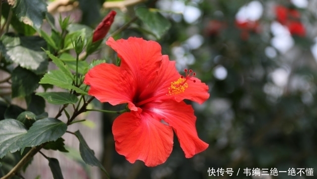  在线|智商、情商双在线，却不愿意偷耍心计的星座，真正的大智若愚