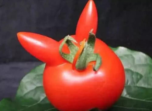 聪明人|聪明人从不买的四种菜,很多人都不懂,菜贩子我们从不吃