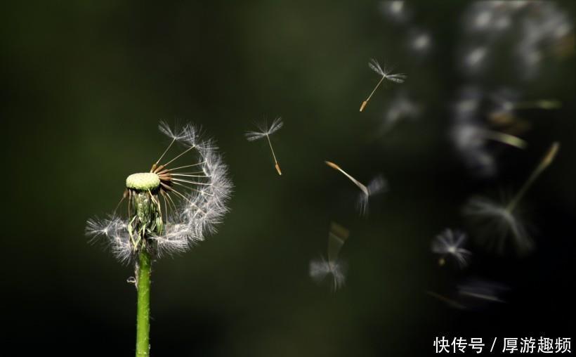  朵朵开|10月，月老牵红线，3生肖桃花朵朵开，恭喜马上就能脱单！