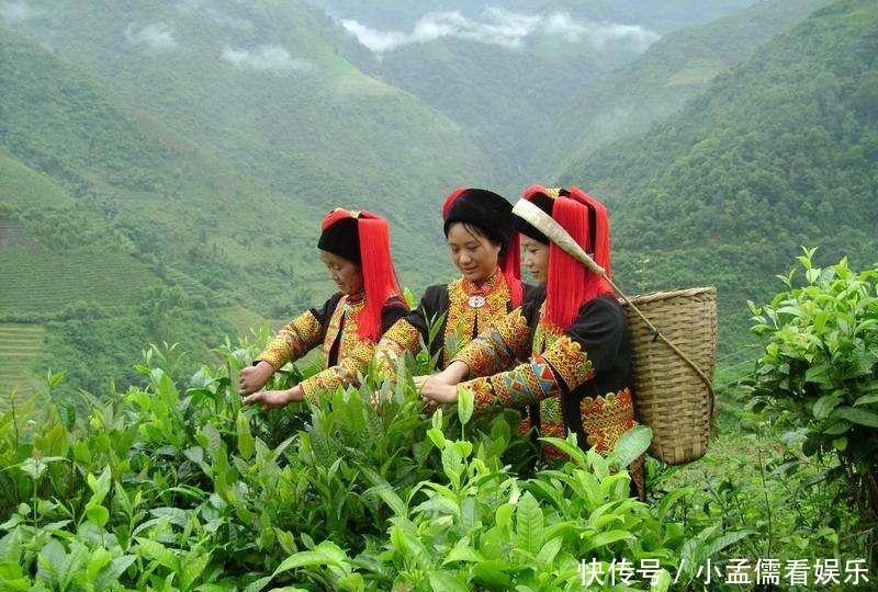 原因|为什么都不愿为国内“品牌茶”买单?原因无非这三点