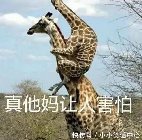  手机|“求大家帮我儿子取个名吧!”网上取名被网友评论笑到窒息哈哈