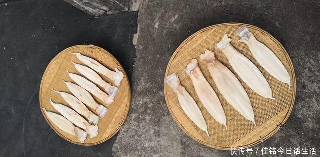 手把手|细数花胶的那些坑,鱼胶和鱼鳔并不一样,潮汕人手把手教你选花胶