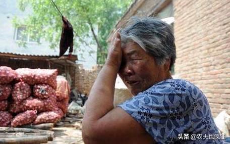 农村|农村娶妻难的“拦路虎”是彩礼太高彩礼高其实是“冤大头”