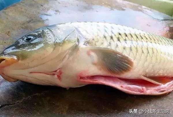 放置很久|买鱼时,遇到这五种鱼转身就走,浪费钱还不健康,内行人从来不买