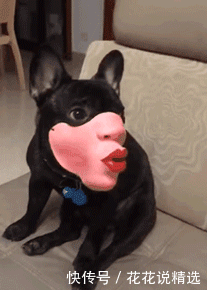 看图猜成语","fkws":"青年|妹子,你上衣太时尚了,满背的纹身霸气十足,看着就霸气啊